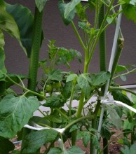 565867962457129131-e1750117615454